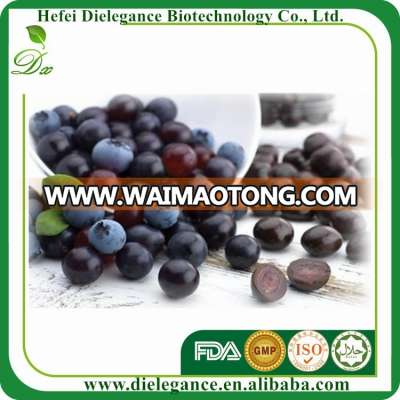 Most Powerful Anti-Oxidants Freeze Dried Acai Berry Extract Powder