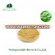 Wholesale supply flavones 24% terpene lactones 6% ginkgo biloba leaf extract