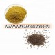 GMP Factory Supply Top Quality Celery Seed Extract Powder