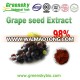 Grape Seed Extract/Procyanidins/Polyphenols