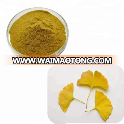 Anti-cancer Ginkgo Biloba Leaf Extract Powder with Best Price