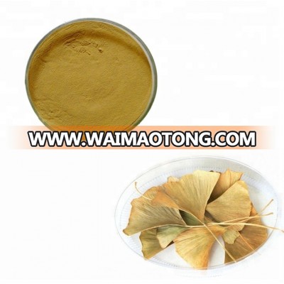 Free Sample Ginkgo Biloba Leaf Extract Powder for Healthcare Field