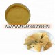 Free Sample Ginkgo Biloba Leaf Extract Powder for Healthcare Field