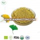 100% NATURAL GINKGO BILOBA LEAF POWDER