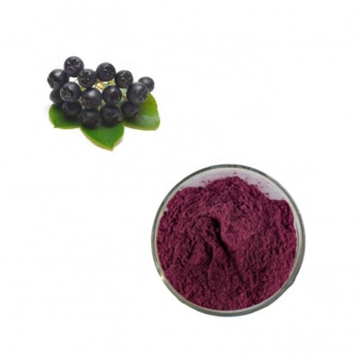 Hot Sales Aronia Juice Concentrate Powder For Health Care