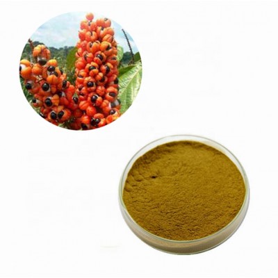 Organic Raw Guarana Powder for Pharmaceutical Material