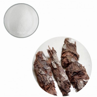 100% Natural Birch Bark Extract Herbal Cure for HIV