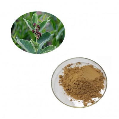 Cosmetic Raw Material Natural Cynanchum Atratum Extract Bulk Powder